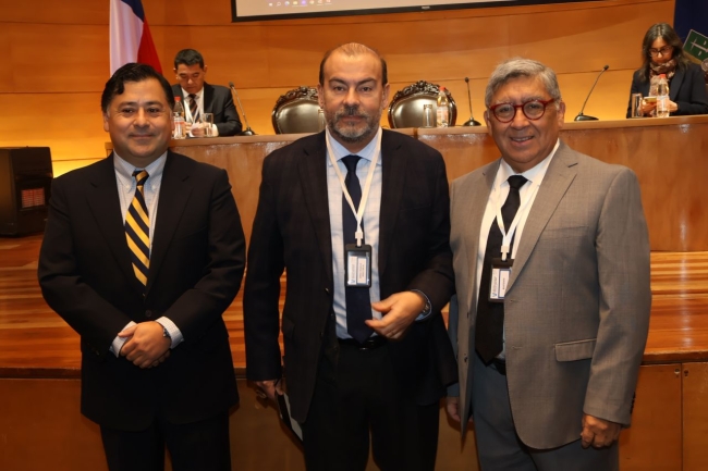 Galería foto 14